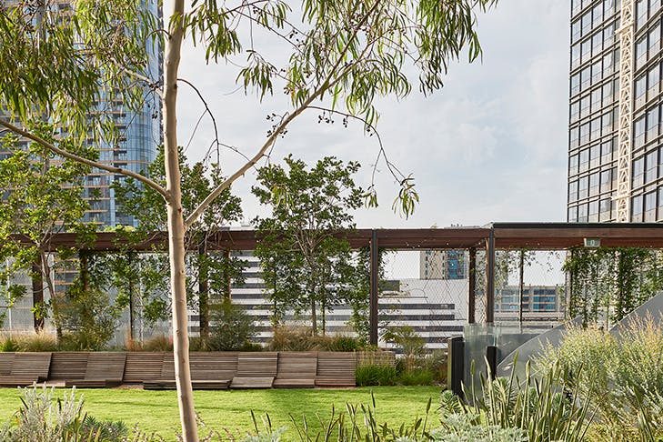 A shot of a rooftop garden that sits underneath large buildings.